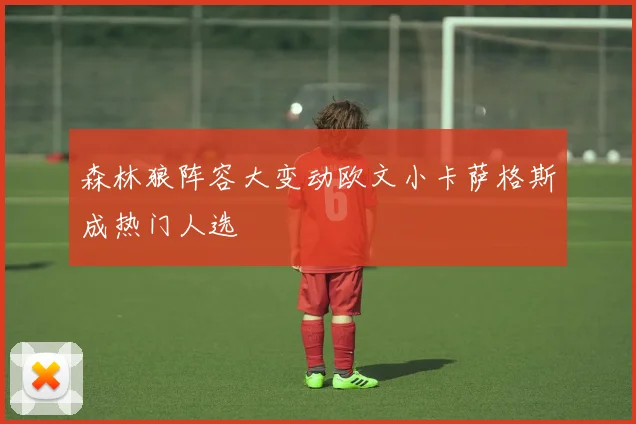 森林狼阵容大变动欧文小卡萨格斯成热门人选