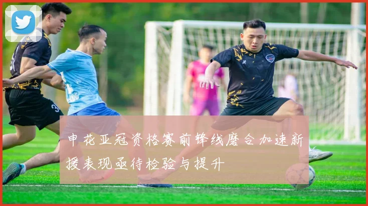 申花亚冠资格赛前锋线磨合加速新援表现亟待检验与提升